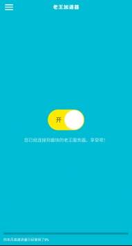 老王vnp 2.2.29最新版